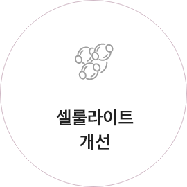 셀룰라이트 개선