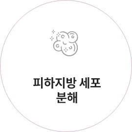 피하지방 세포 분해