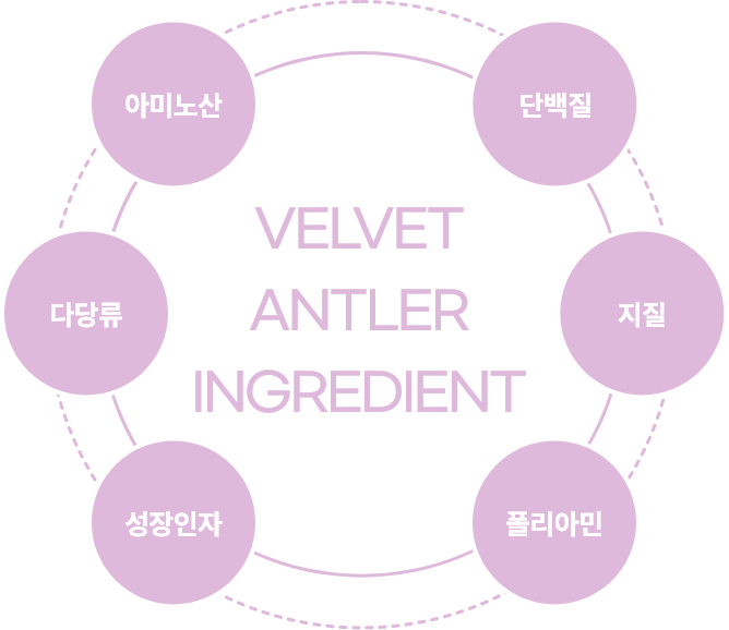 아미노산/다당류/성장인자/플리아민/지질/단백질